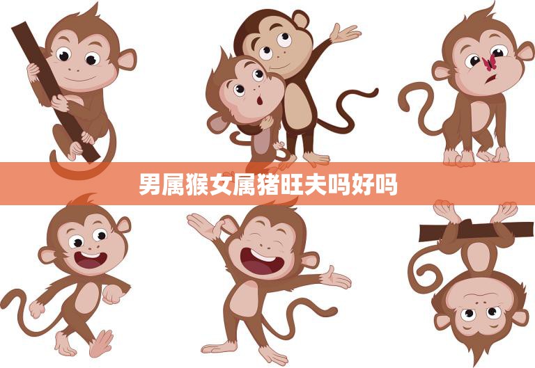 男属猴女属猪旺夫吗好吗(如何看待这对属相组合)  第3张