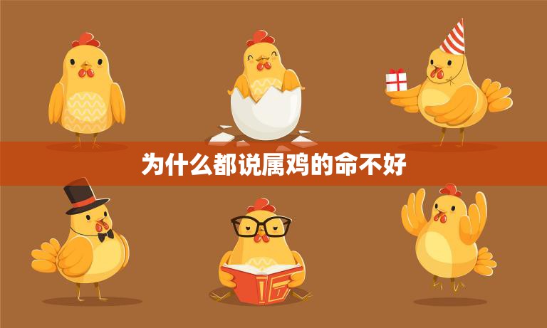 为什么都说属鸡的命不好(探究属鸡人命运的真相)  第3张