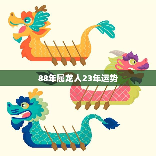 88年属龙人23年运势(2023年运势大揭秘)  第3张