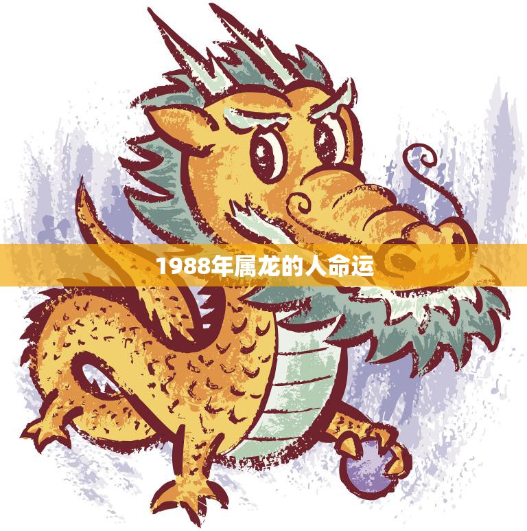 1988年属龙的人命运(未来如何)  第3张
