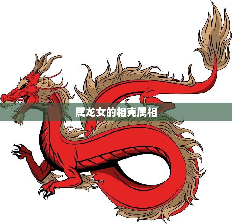 属龙女的相克属相(解读属龙女和哪些属相不合)  第3张