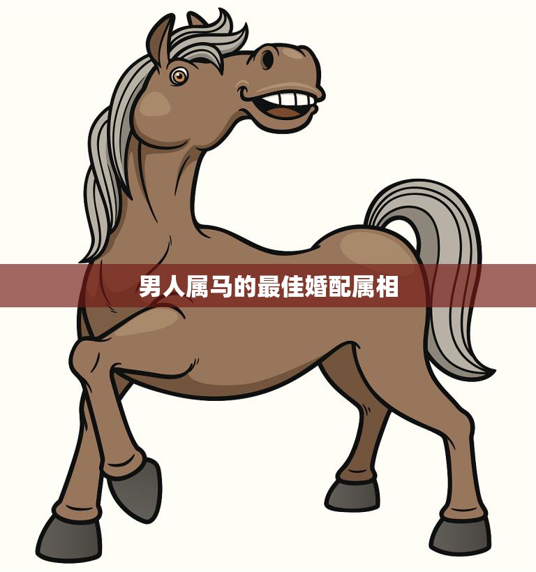 男人属马的最佳婚配属相(你知道吗)  第3张