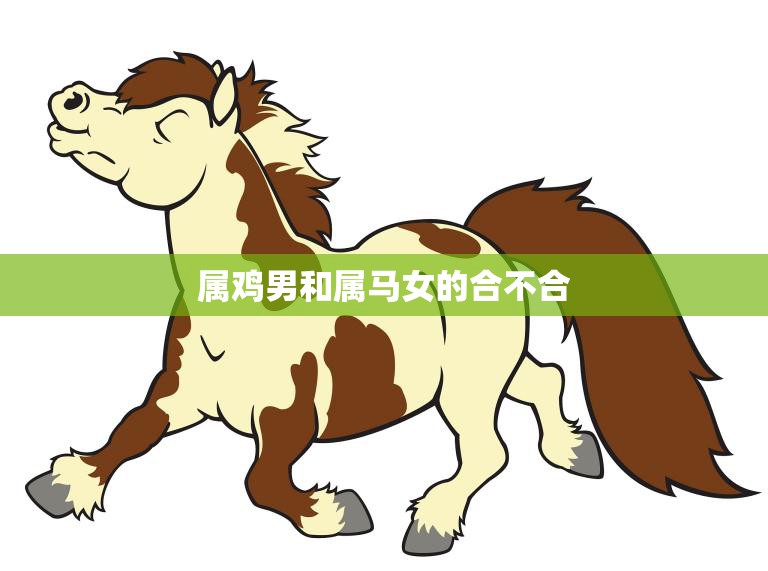 属鸡男和属马女的合不合(星座配对分析)  第3张