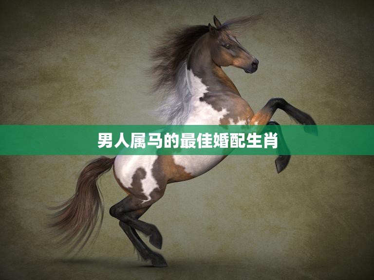 男人属马的最佳婚配生肖(揭秘谁最适合与属马男缔结良缘)  第3张