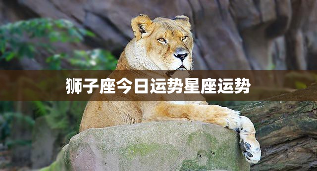 狮子座今日运势星座运势(自信心爆棚财运亨通)  第3张