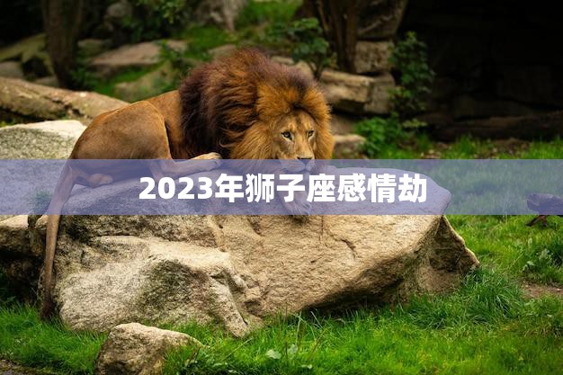 2023年狮子座感情劫(如何应对)  第3张