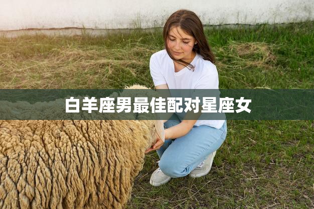 白羊座男最佳配对星座女(十二星座中最完美的组合)  第3张