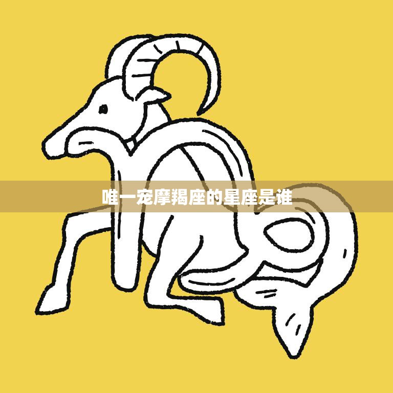 唯一宠摩羯座的星座是谁(揭秘摩羯座最爱的星座是谁)  第3张