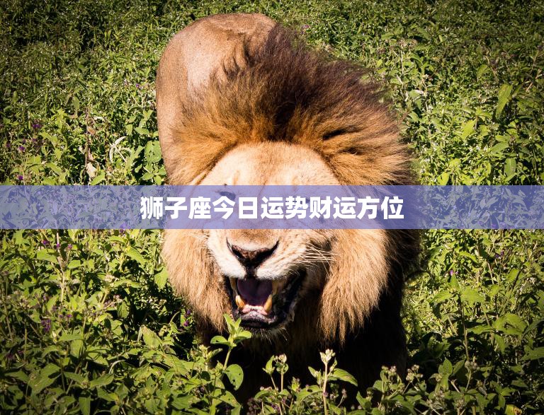狮子座今日运势财运方位(财富之门即将开启)  第3张