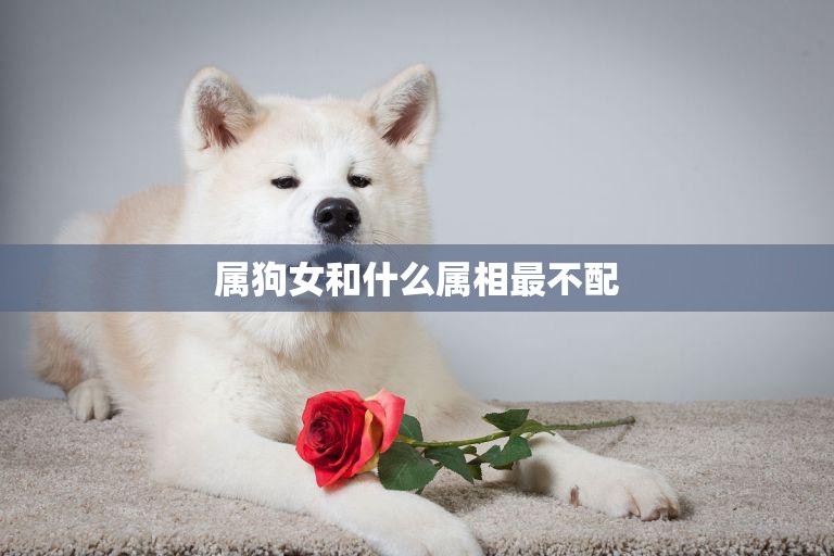 属狗女和什么属相最不配(不合拍的星座配对)  第3张