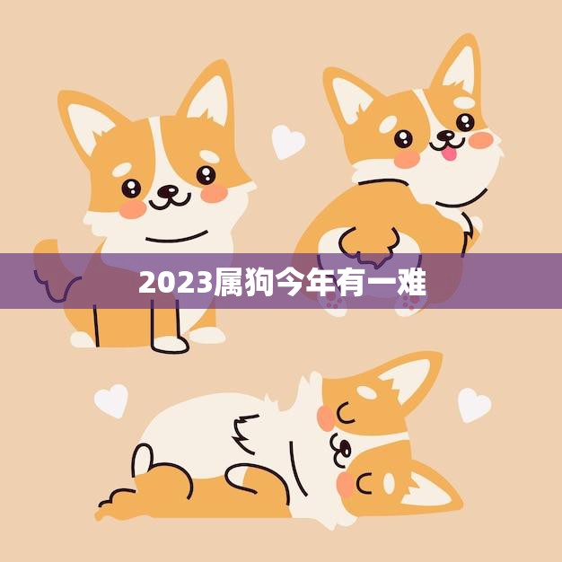 2023属狗今年有一难(狗年运势不佳需谨慎应对)  第3张