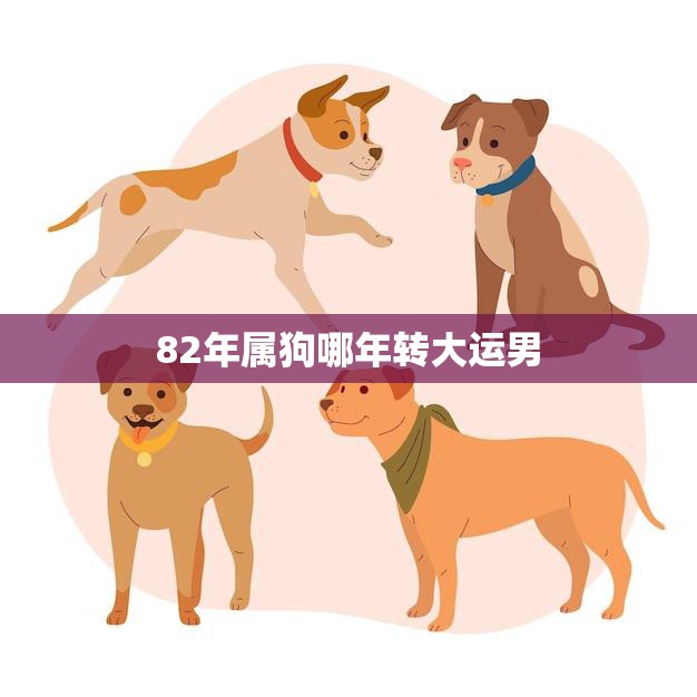 82年属狗哪年转大运男(如何把握大运转换的机会)  第3张