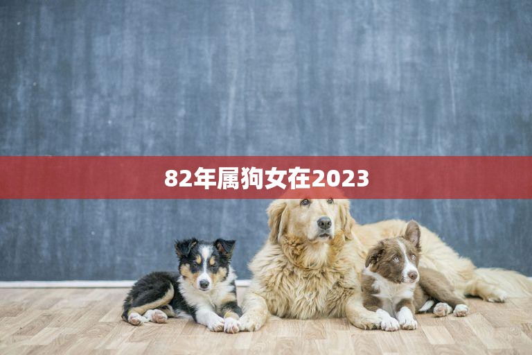 82年属狗女在2023(如何迎接属相犯太岁的挑战)  第3张