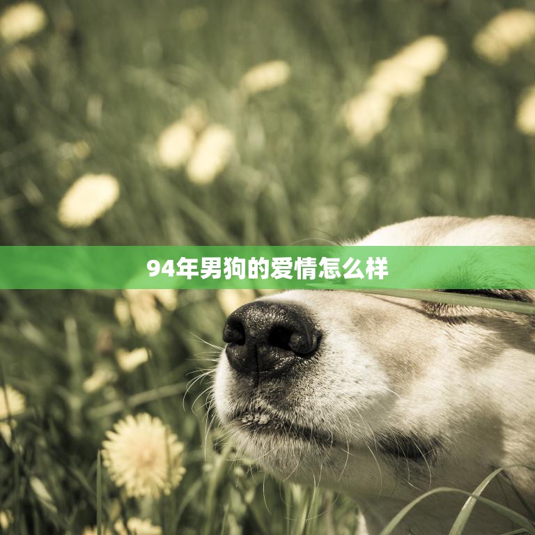 94年男狗的爱情怎么样(探寻一段独特的爱情故事)  第3张