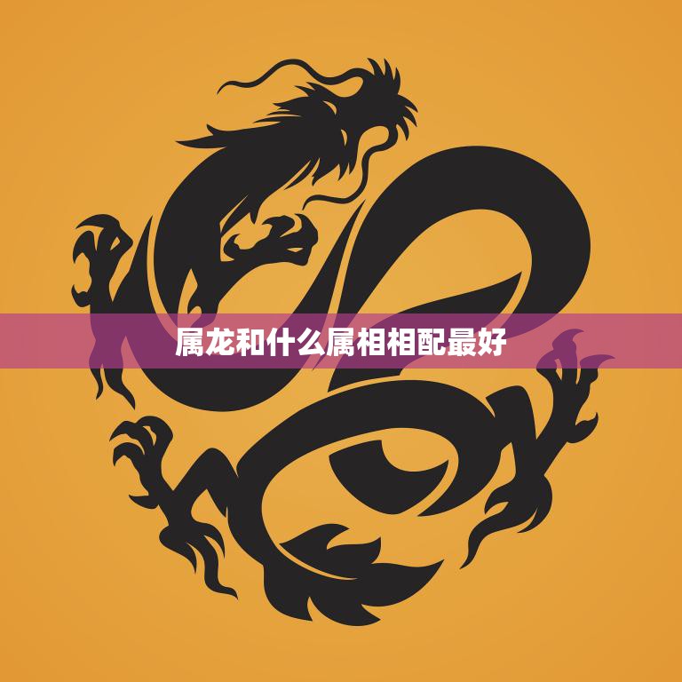 属龙和什么属相相配最好(如何选择最佳配偶)  第3张