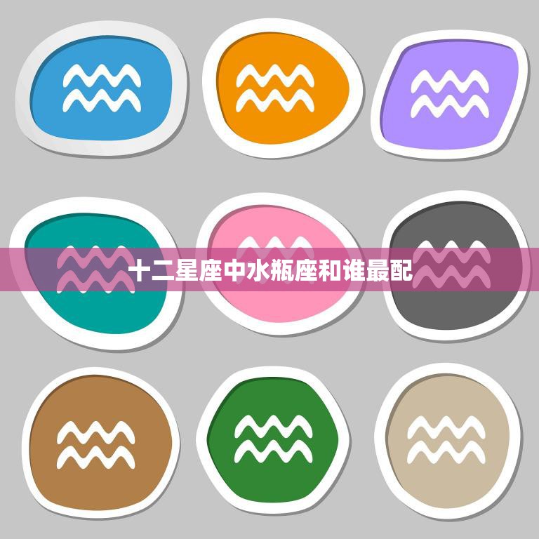十二星座中水瓶座和谁最配(最佳星座配对大揭秘)  第3张