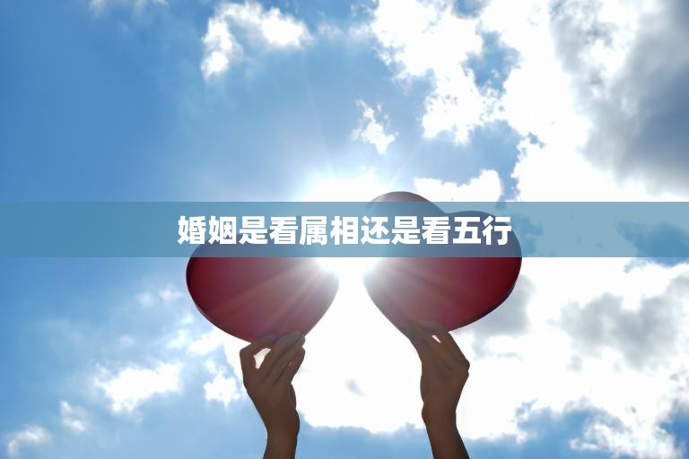 婚姻是看属相还是看五行(如何选择最佳配偶)  第3张