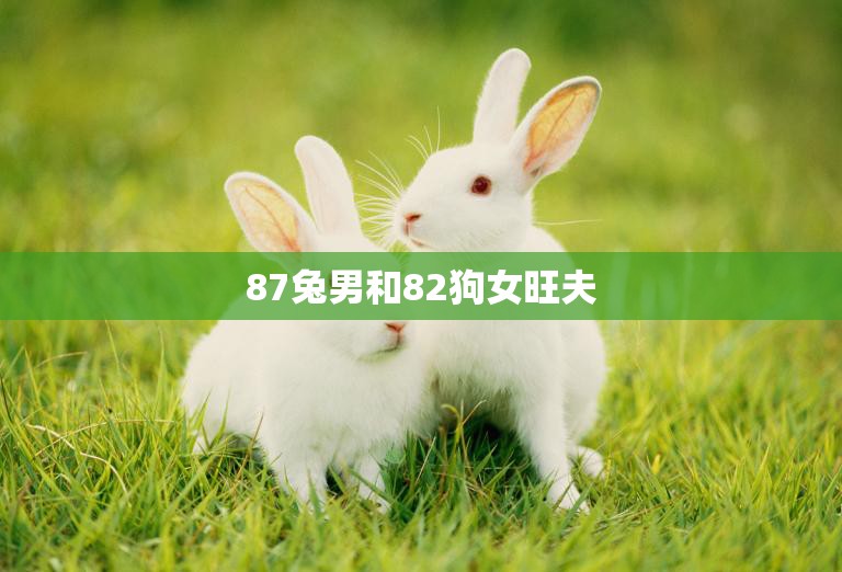 87兔男和82狗女旺夫(天生一对幸福长久)  第3张