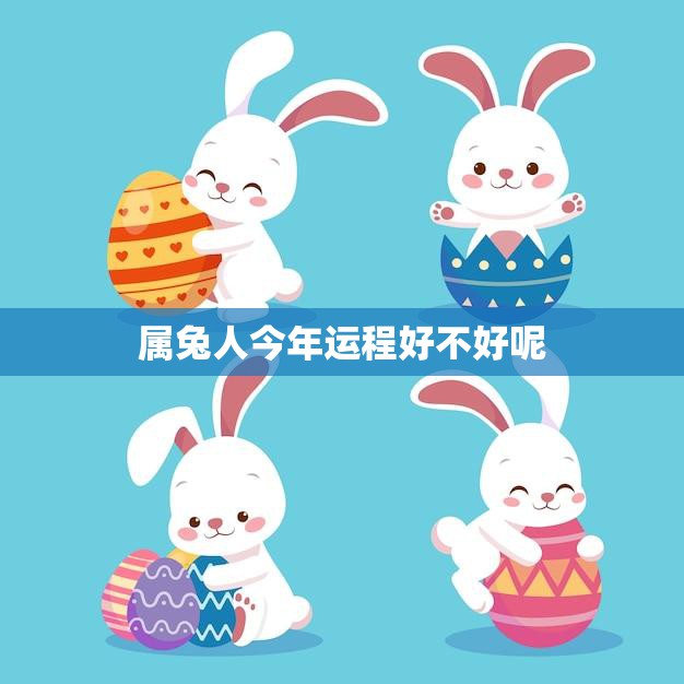 属兔人今年运程好不好呢(2023年属兔人运势大揭秘)  第3张
