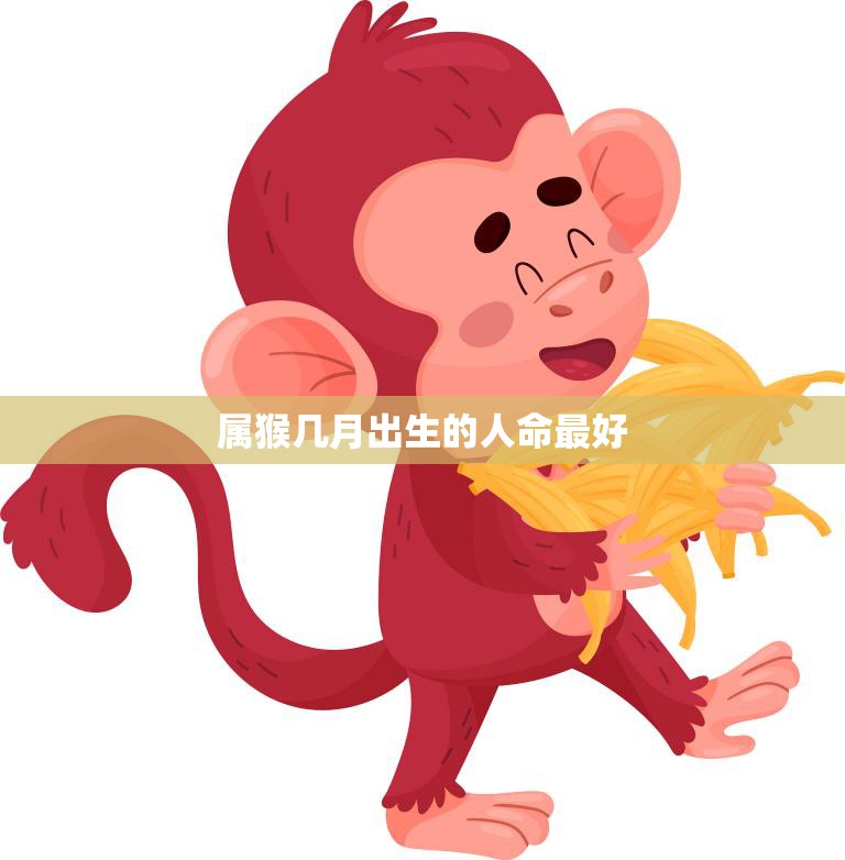 属猴几月出生的人命最好(猴年出生的人运势如何)  第3张