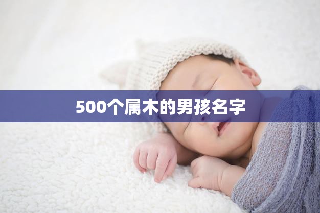 500个属木的男孩名字(找到你孩子的独特标志)  第3张