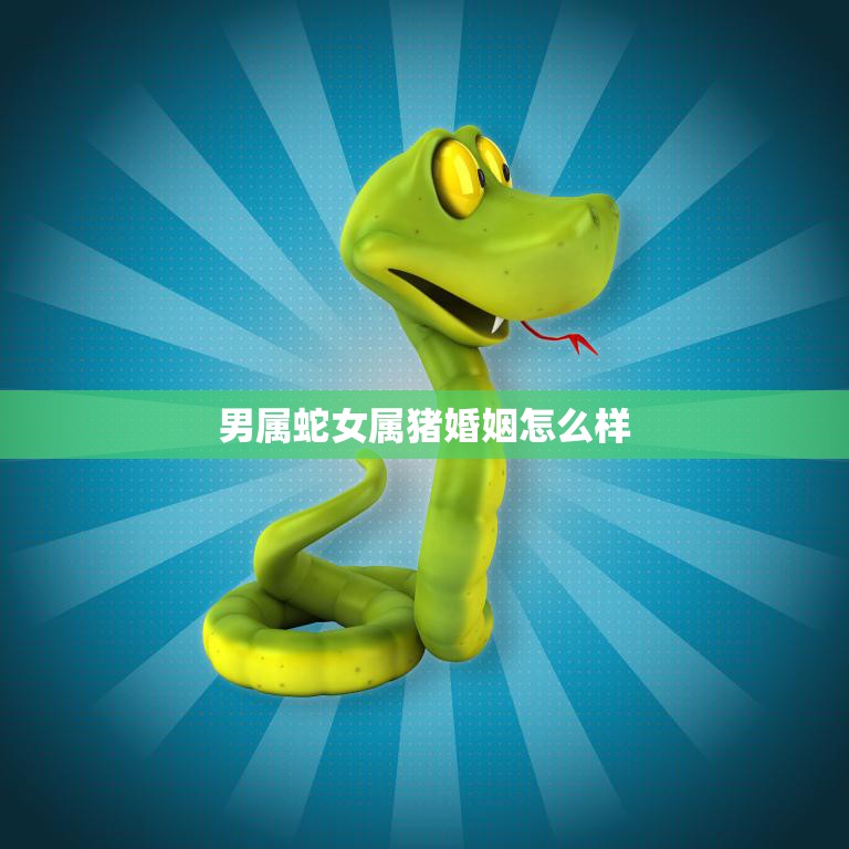 男属蛇女属猪婚姻怎么样(幸福美满的秘诀)  第3张