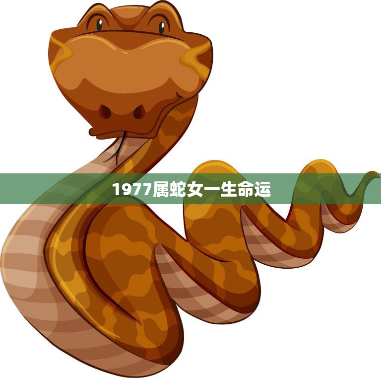 1977属蛇女一生命运(如何走出命运的迷雾)  第3张
