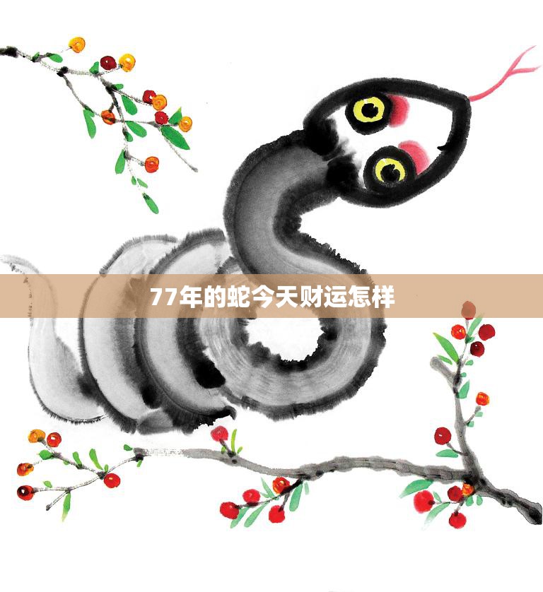 77年的蛇今天财运怎样(财富运势如何)  第3张