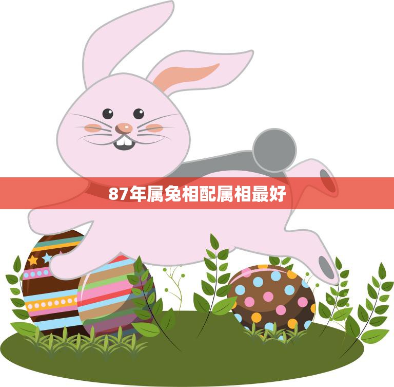 87年属兔相配属相最好(兔配龙、狗、猪缘定一生的最佳选择)  第3张