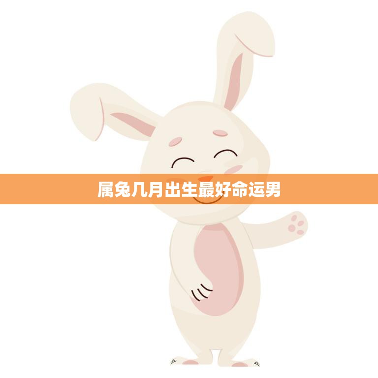属兔几月出生最好命运男(如何把握好自己的命运)  第3张