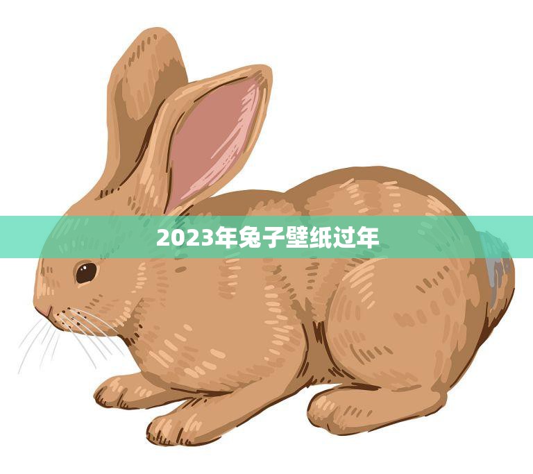 2023年兔子壁纸过年(欢乐迎新春)  第3张