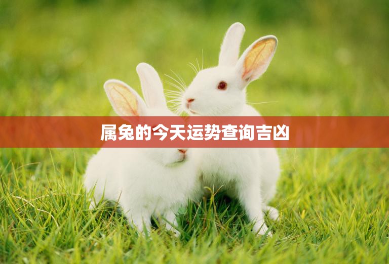属兔的今天运势查询吉凶(看运势顺势而为)  第3张