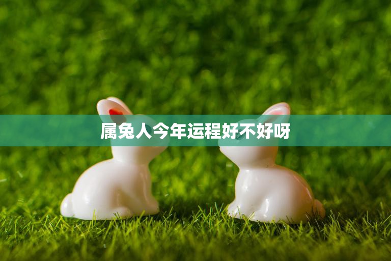 属兔人今年运程好不好呀(2023年属兔人运势大揭秘)  第3张