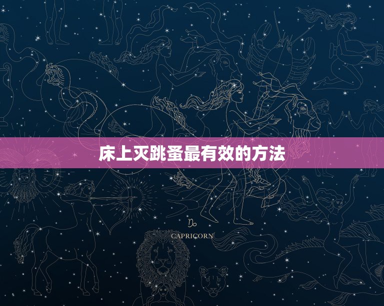 床上灭跳蚤最有效的方法(如何彻底清除床上跳蚤)  第3张