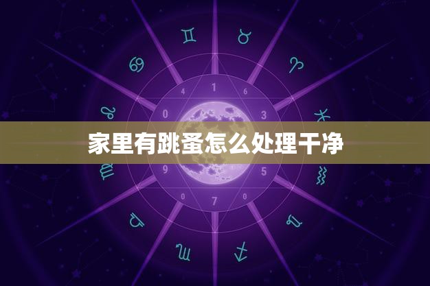 家里有跳蚤怎么处理干净(快速有效的跳蚤清除方法)  第3张