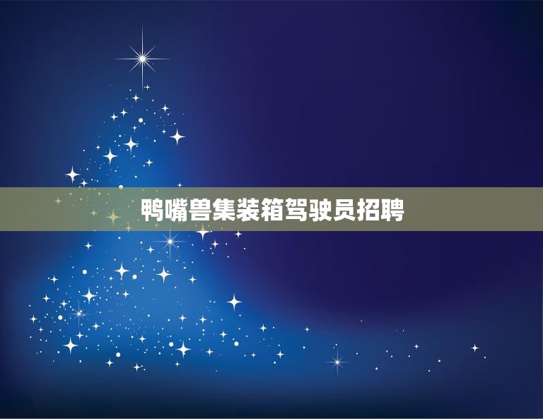 鸭嘴兽集装箱驾驶员招聘(驾驶员招募开启澳洲之旅)  第3张