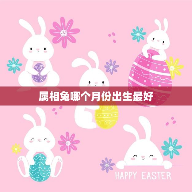 属相兔哪个月份出生最好(兔年出生的最佳月份)  第3张