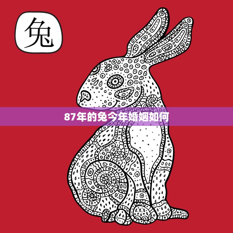87年的兔今年婚姻如何(2023年星象解析婚姻运势大揭秘)  第3张