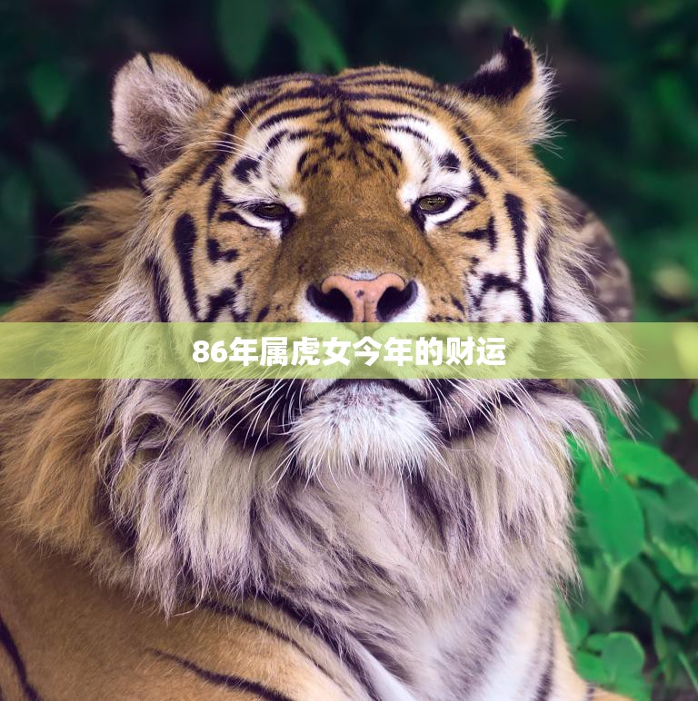 86年属虎女今年的财运(展望2023年的财富前景)  第3张
