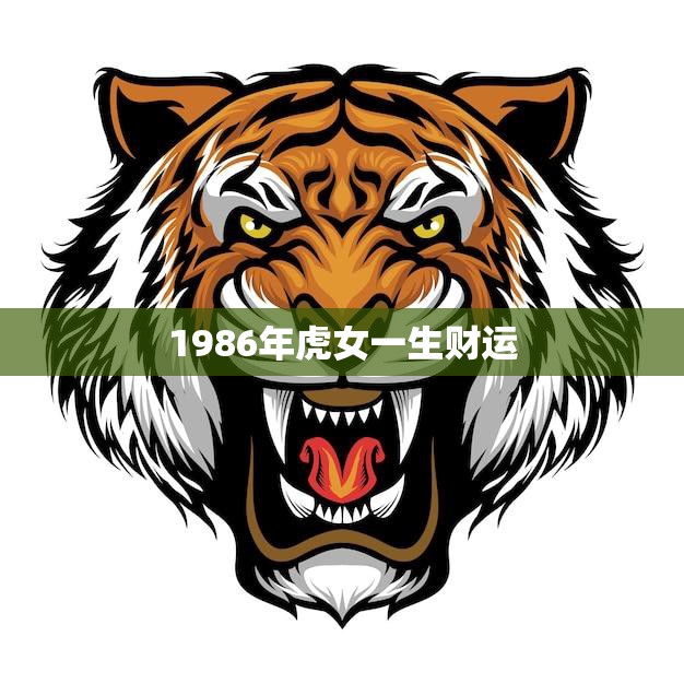 1986年虎女一生财运(如何提升)  第3张