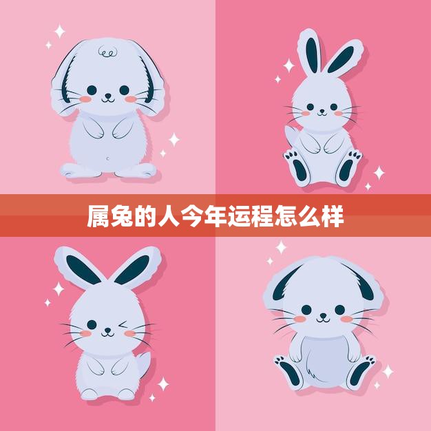 属兔的人今年运程怎么样(2023年属兔人运势大揭秘)  第3张