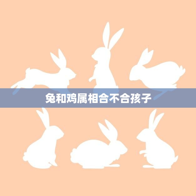 兔和鸡属相合不合孩子(属相匹配影响孩子性格吗)  第3张