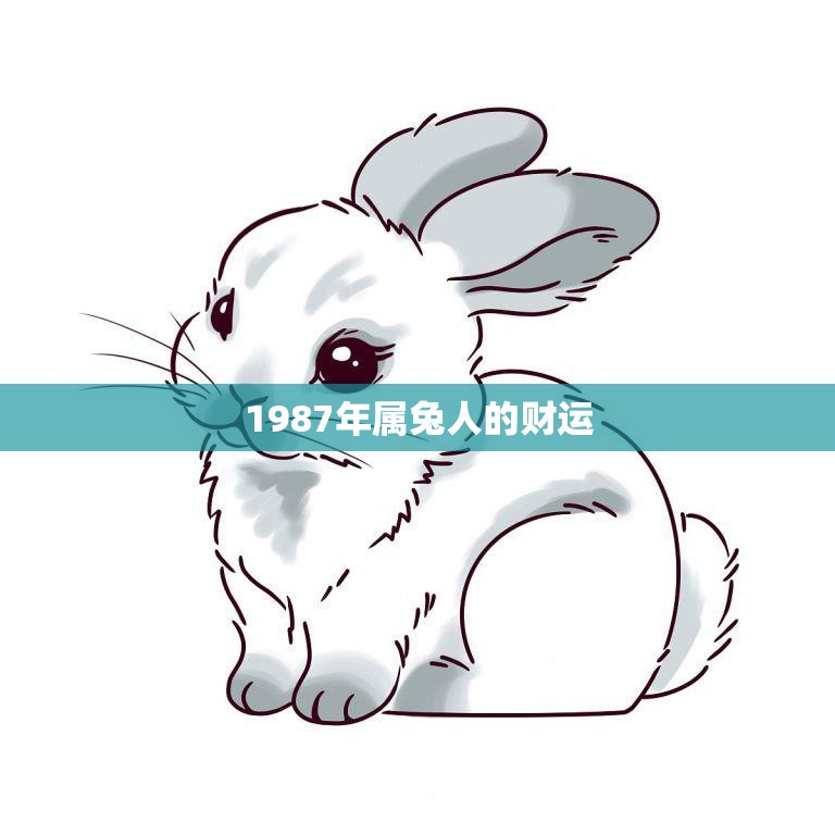 1987年属兔人的财运(如何开启财富之门)  第3张