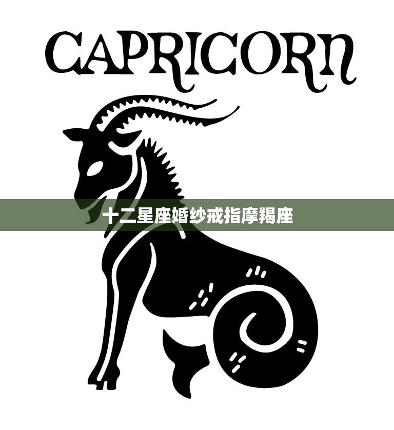 十二星座婚纱戒指摩羯座(优雅沉稳尽显成熟魅力)  第3张
