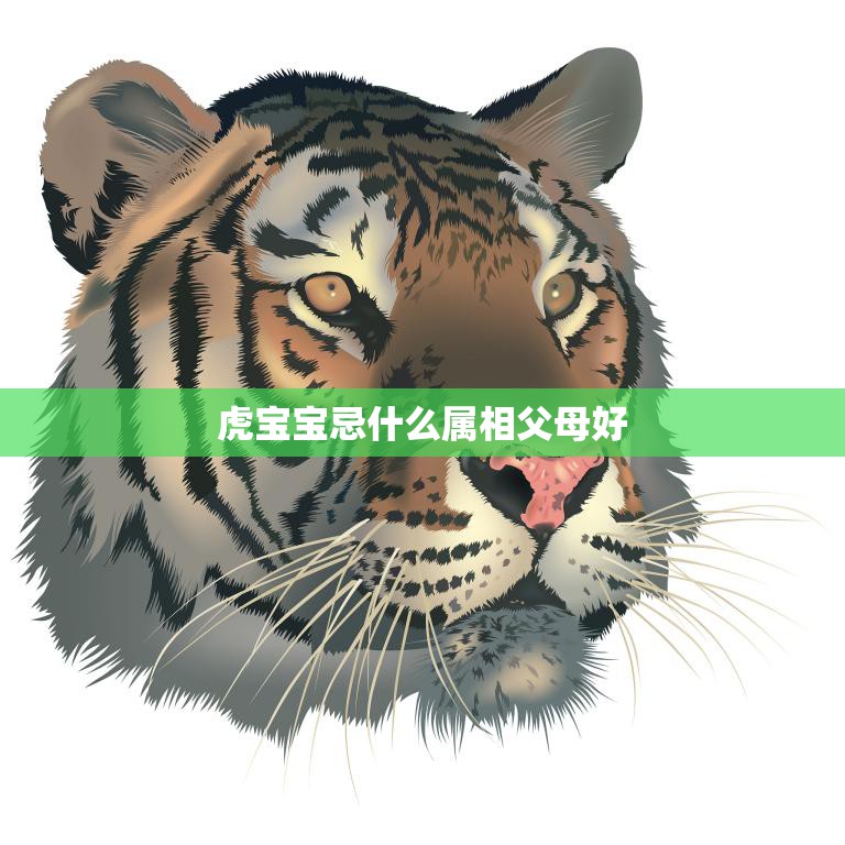 虎宝宝忌什么属相父母好(如何避免不利属相影响)  第3张