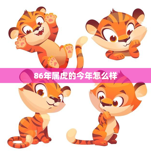 86年属虎的今年怎么样(2023年运势解析)  第3张