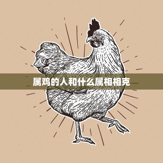 属鸡的人和什么属相相克(十二生肖相克大揭秘)  第3张