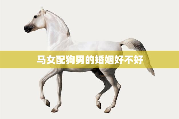 马女配狗男的婚姻好不好(探讨爱情是否能超越生肖)  第3张