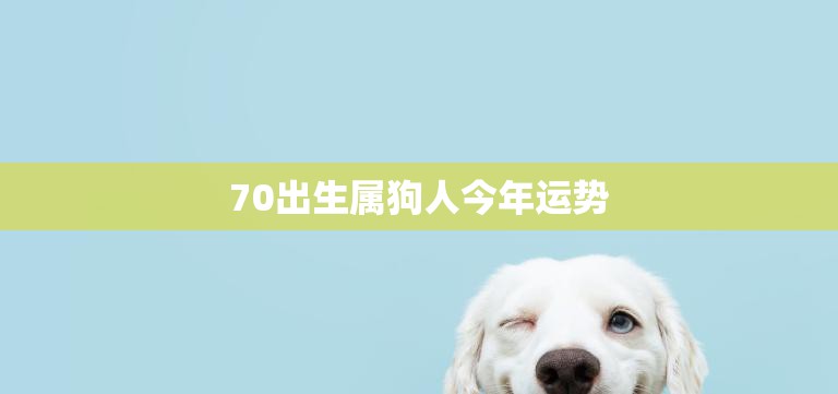 70出生属狗人今年运势(狗年大吉财运亨通)  第3张