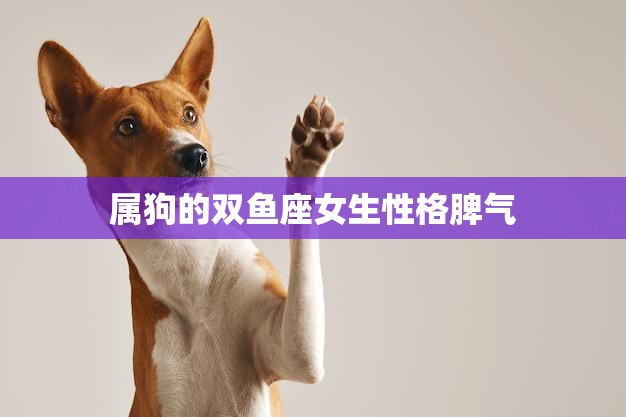 属狗的双鱼座女生性格脾气(解析温柔内敛却不失坚定)  第3张